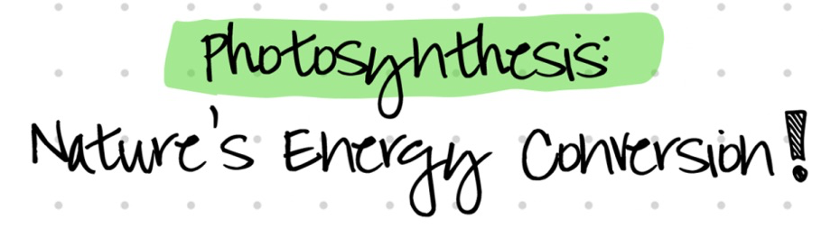 Handwritten title: Photosynthesis: Nature's Energy Conversion!
