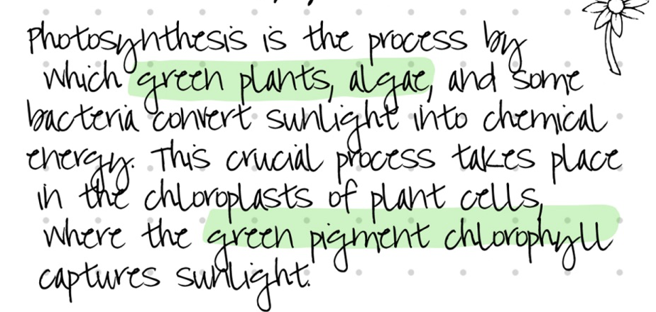 Handwritten paragraph about photosynthesis